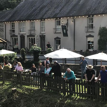 The Nags Head Inn Abercych Eksteriør billede